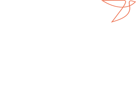 vogelflug-weiss-und-rot
